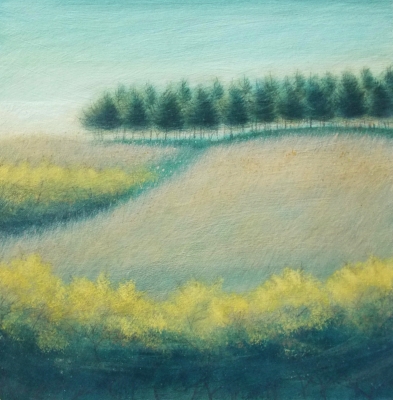 Sweet Scented Gorse