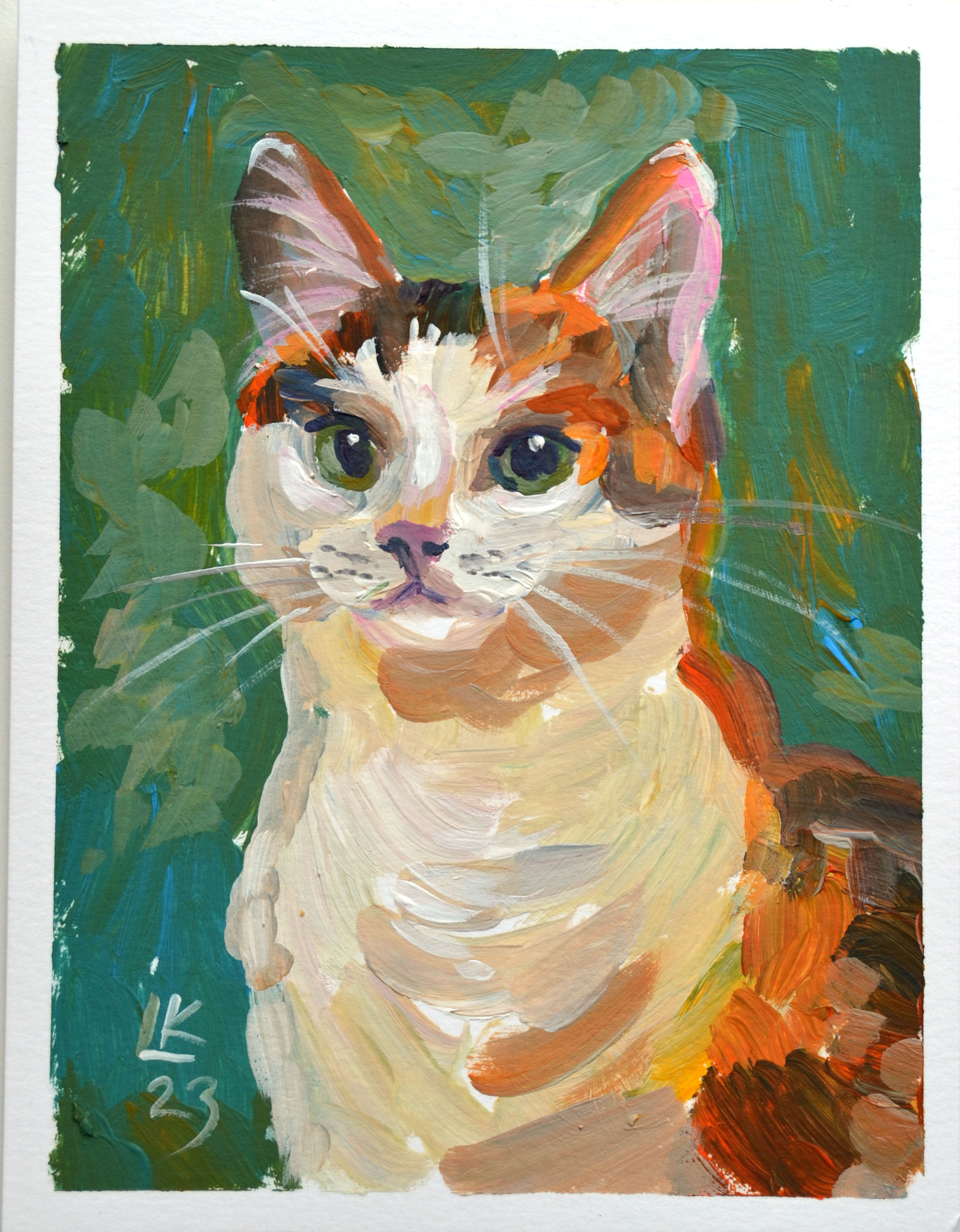 Calico Cat on a green background