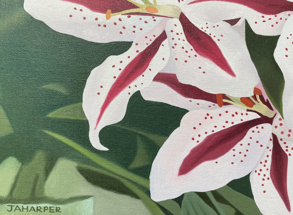 Pink and White Lilies