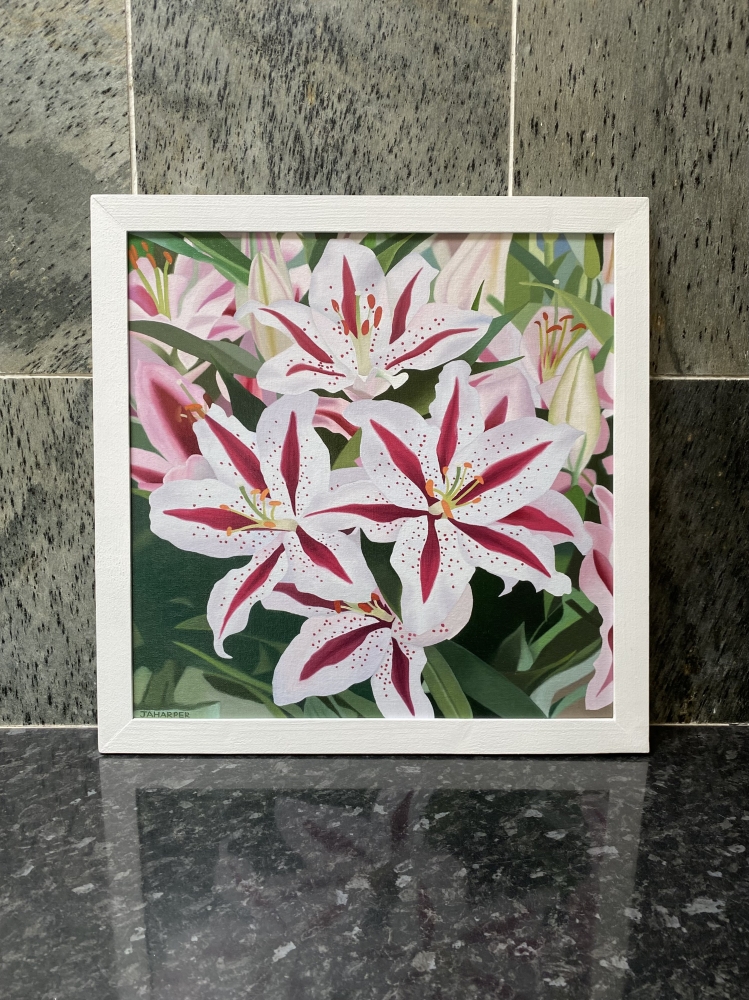 Pink and White Lilies