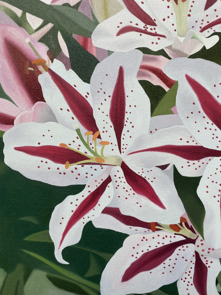 Pink and White Lilies