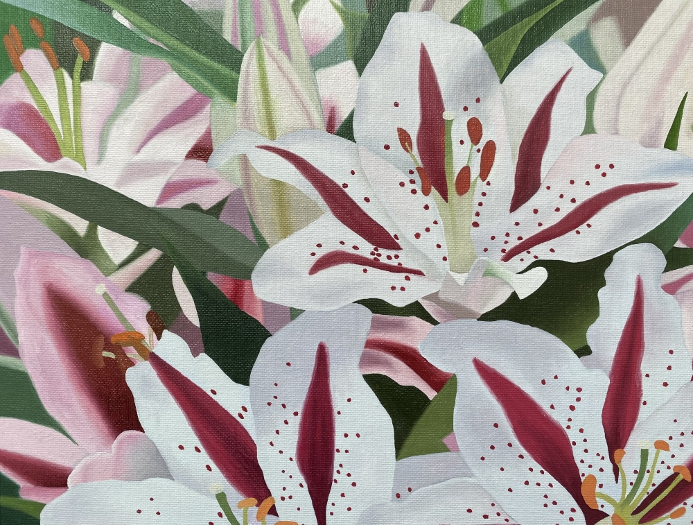 Pink and White Lilies