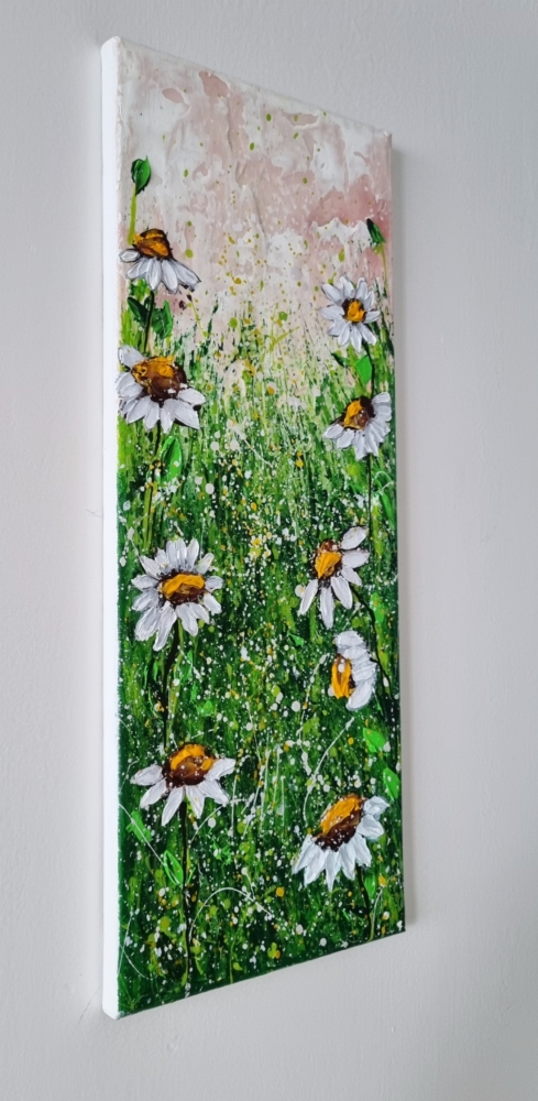 Field of Daisies 