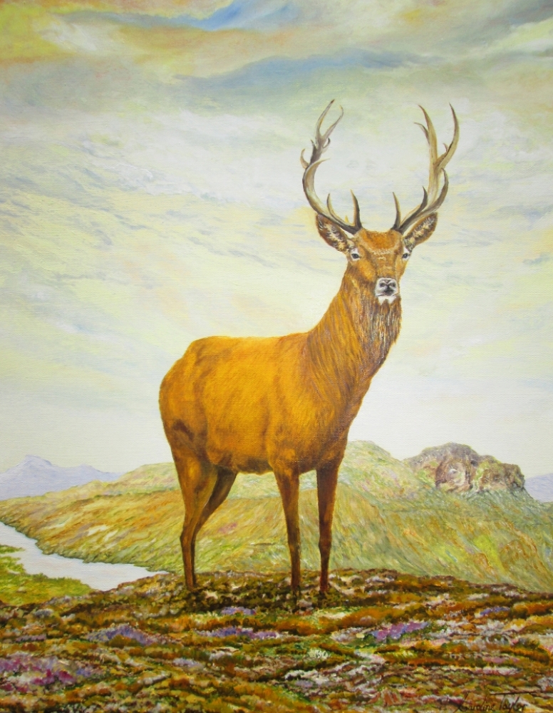 Scottish Stag