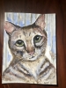 Andy - cat watercolor painting 