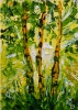 Birch trees