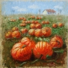 House in the pumpkin field