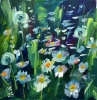 Daisies and dandelions