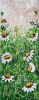 Field of Daisies 