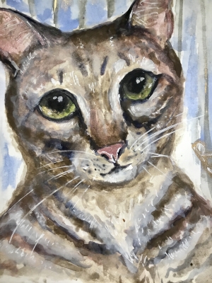 Andy - cat watercolor painting 