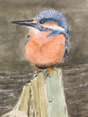 Kingfisher
