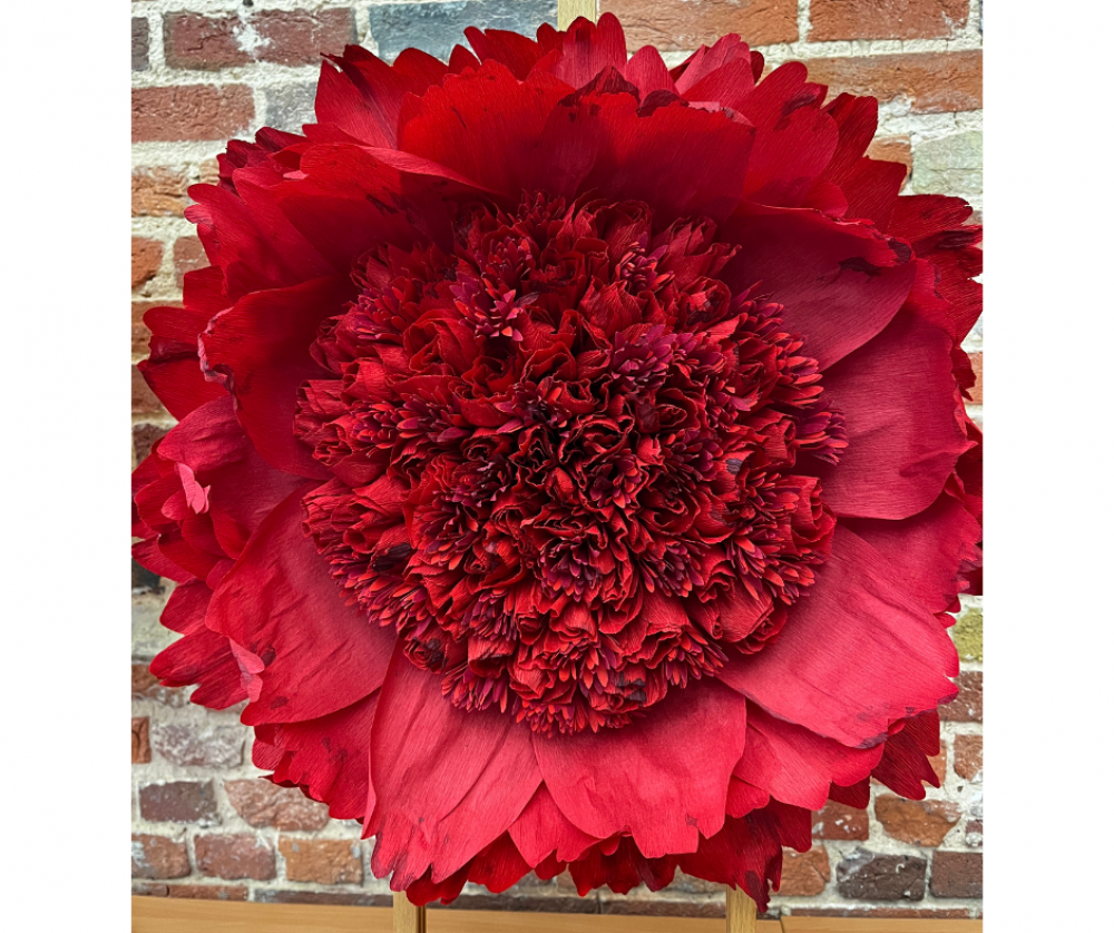 Blood Peony