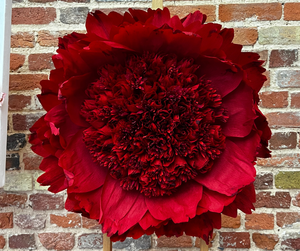 Blood Peony
