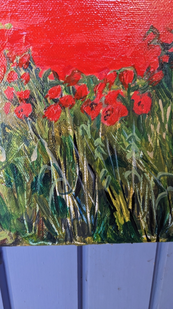 Coquelicots  