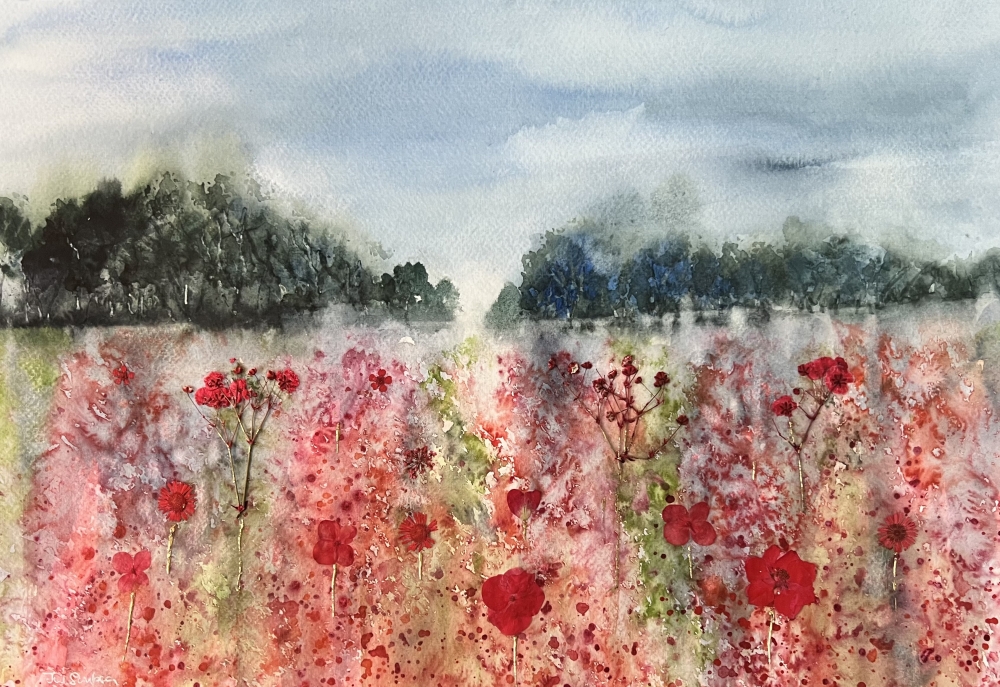 Light across the poppy field