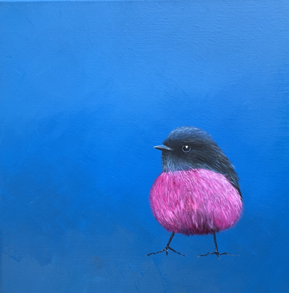 Pink Robin