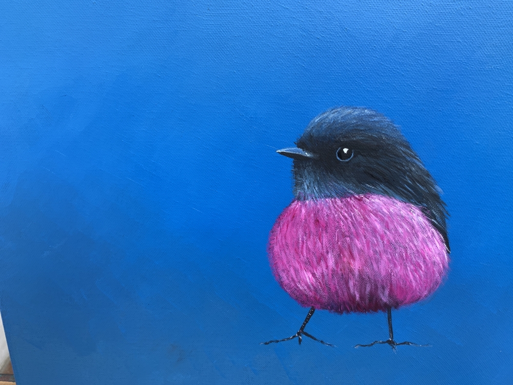 Pink Robin