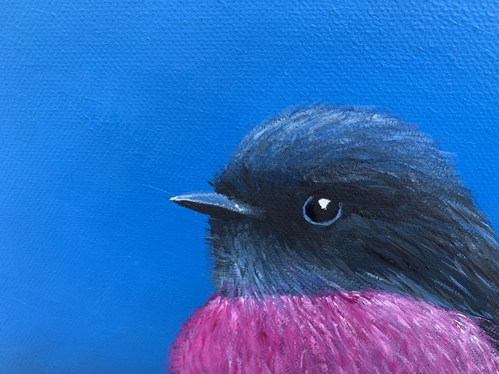 Pink Robin