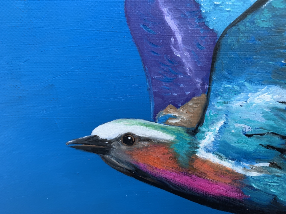Lilac Breasted Roller In Flight