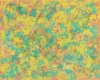 Colorstrology