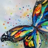 Bright butterfly 2