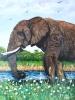 Elephant and Daises 