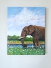 Elephant and Daises 