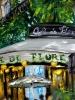 Cafe de Flore, Paris