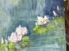 Impressionist Waterlilies