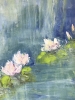 Impressionist Waterlilies