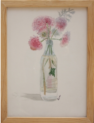 Ethereal Elegance: Pink Carnations in Bloom