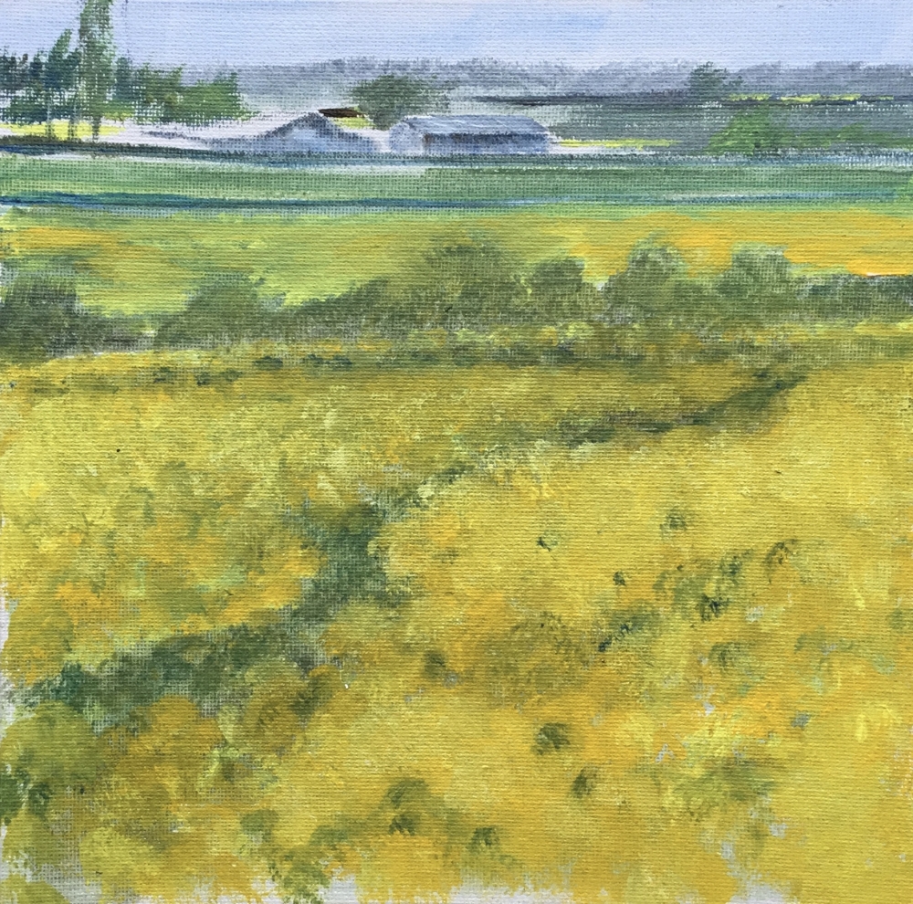 Yellow Fields - Framed painting