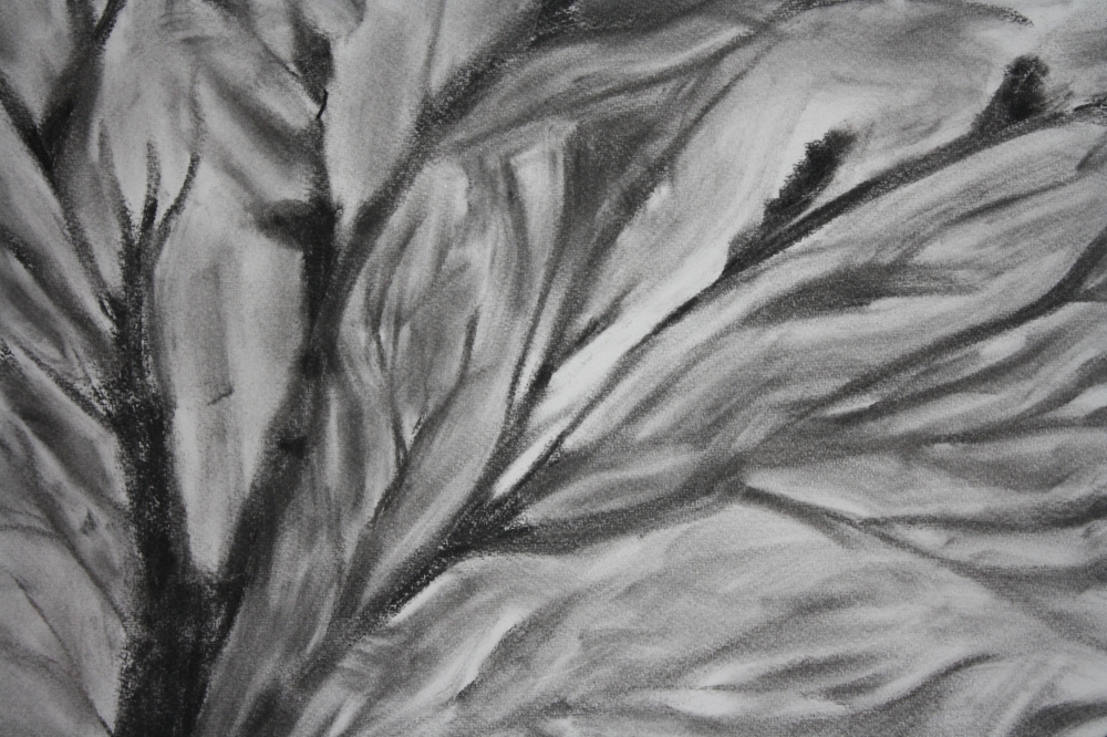 Enigmatic Connection: The Silent Gaze