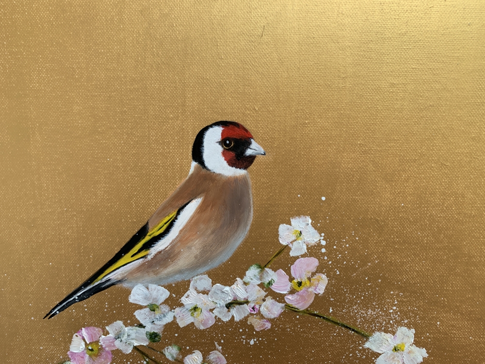 Goldfinch on Cherry Blossom