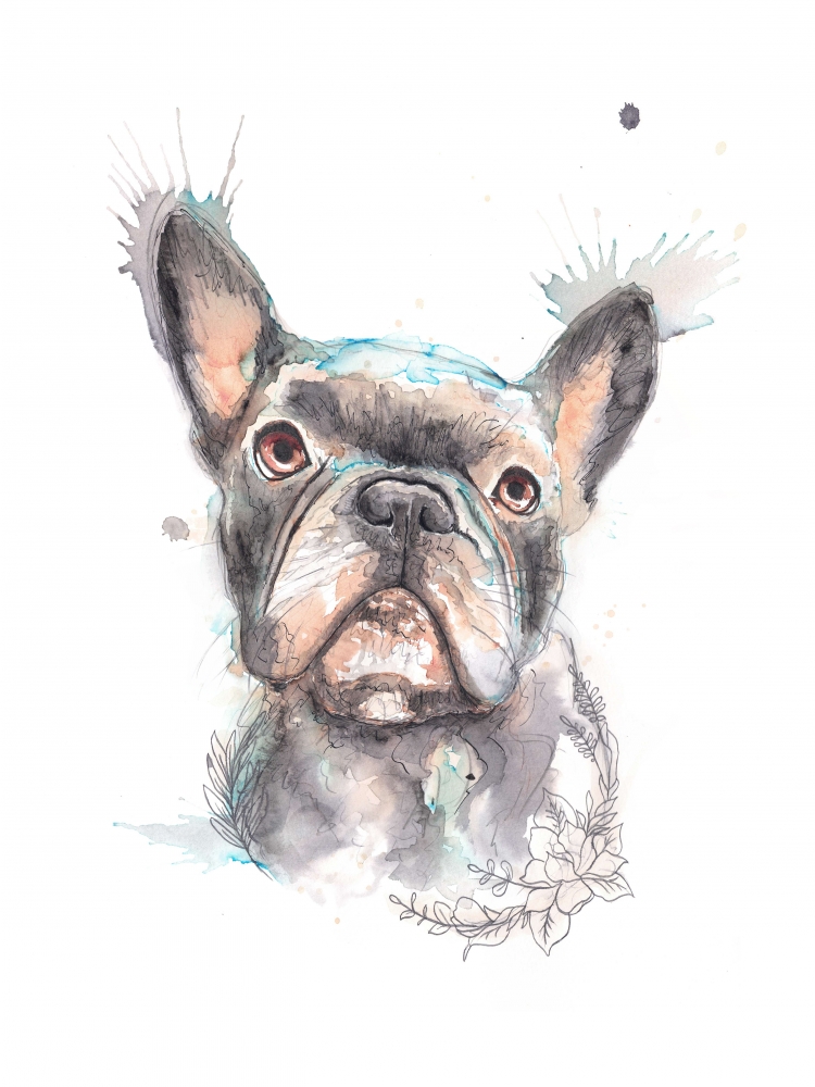 French Bulldog