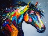 Colorful horse