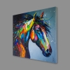 Colorful horse