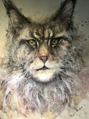 Meine Coon cat original watercolor painting 