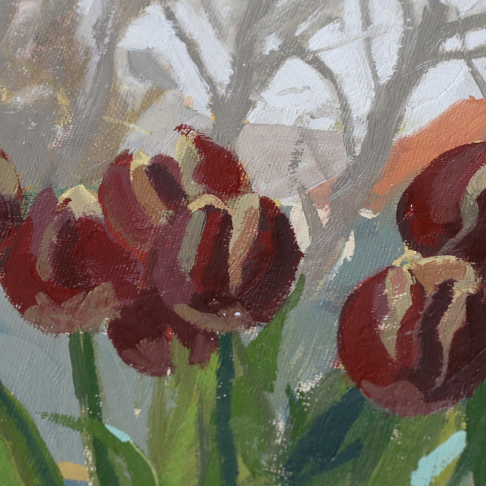 Tulips in Cool Window Light