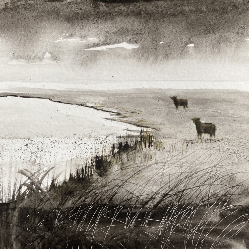 Monochrome - Highland Cattle on Marshes framed