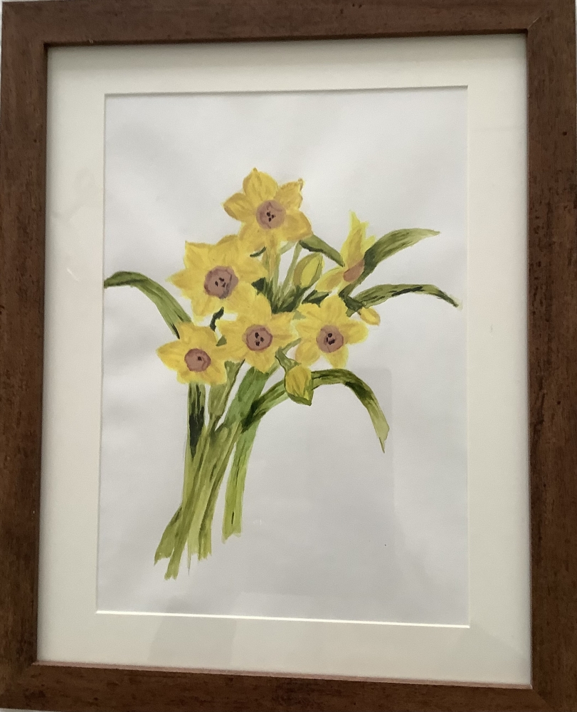 Daffodil 