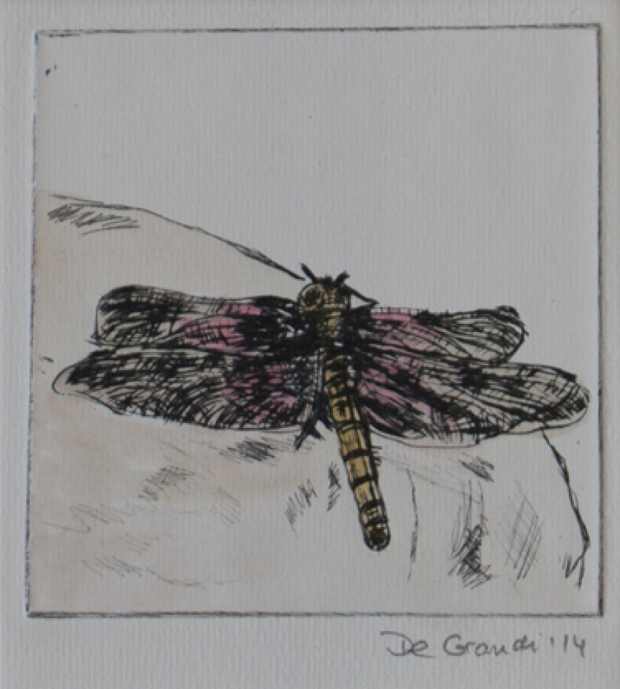 Dragonfly (etching print and watercolours)