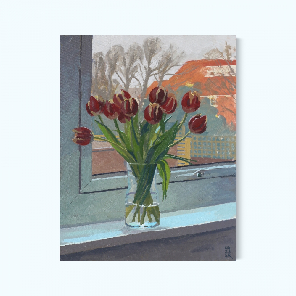 Tulips in Cool Window Light