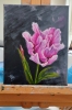 Pink Tulip