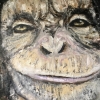 Thinking Monkey original oil painting