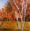 Autumn Silver Birch Trees Landscape framed