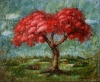 ''Blooming pomegranate tree'' 