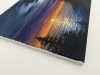 sunset forest