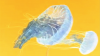Save The Jellyfish 1