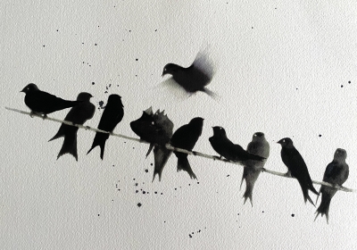 Row of Swallows on a wire